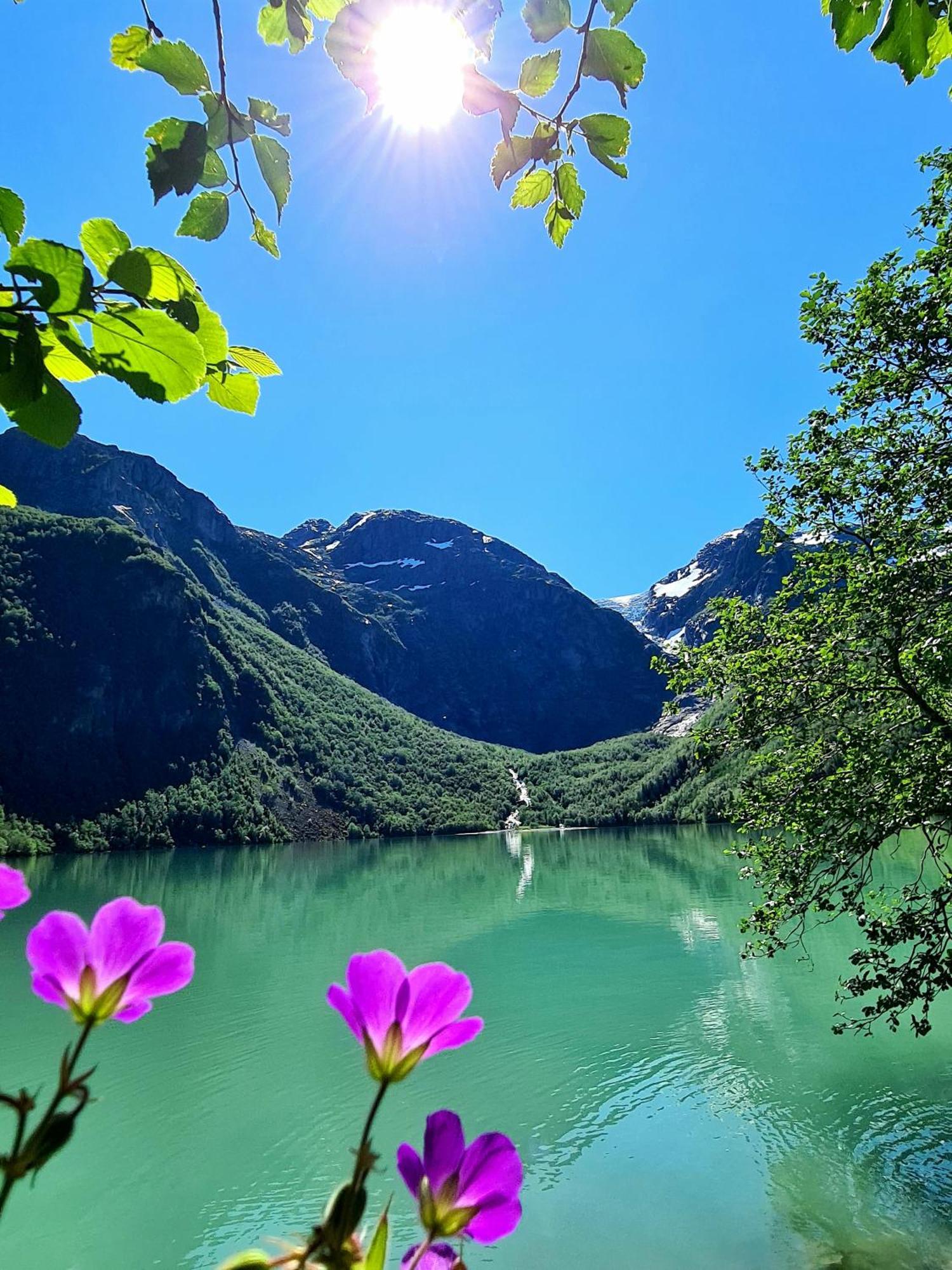 Rosendal Fjordhotel Kültér fotó
